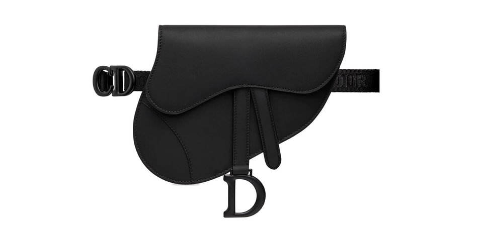 Dior Saddle Bag Belt Bag Christian Dior Logo | Hypebae