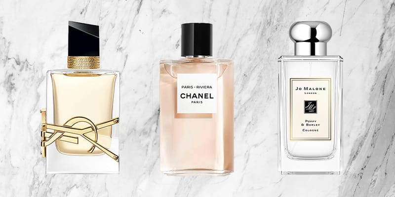Ysl hot sale cologne 2019