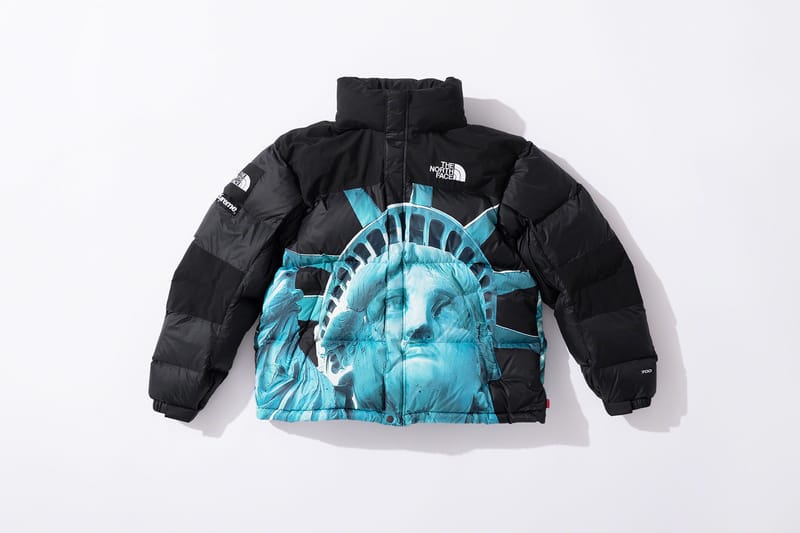 Fake supreme north face hot sale jacket