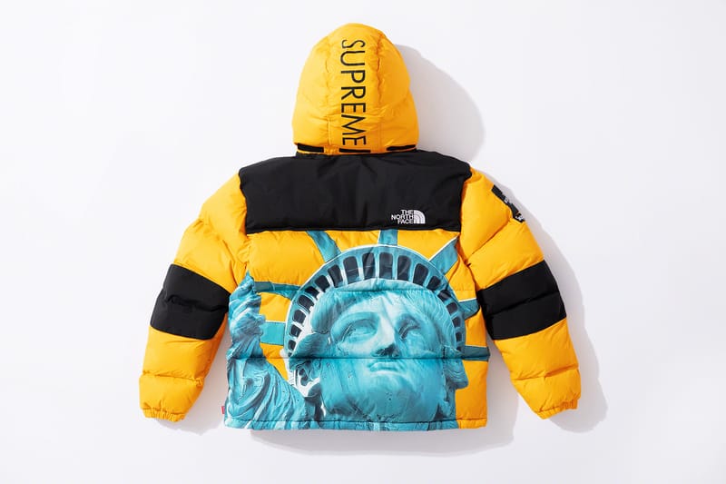 Supreme north face lady hot sale liberty