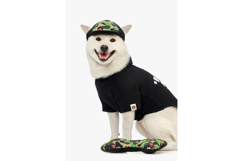BAPE Releases FW19 Dog Clothing and Accessories | HYPEBAE