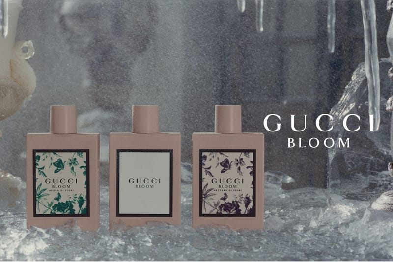 Gucci Bloom Releases New Scent Ambrosia di Fiori Hypebae