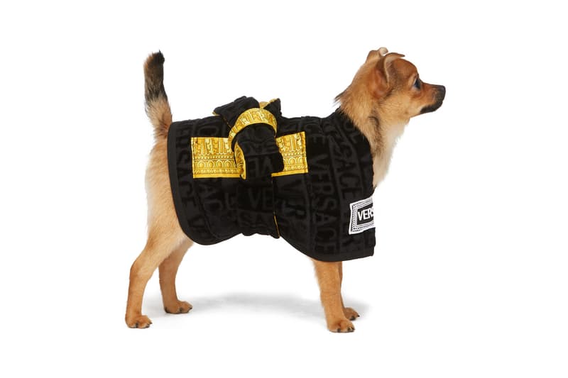 Marine Serre, ALYX & More Launch Dog Clothing HYPEBAE