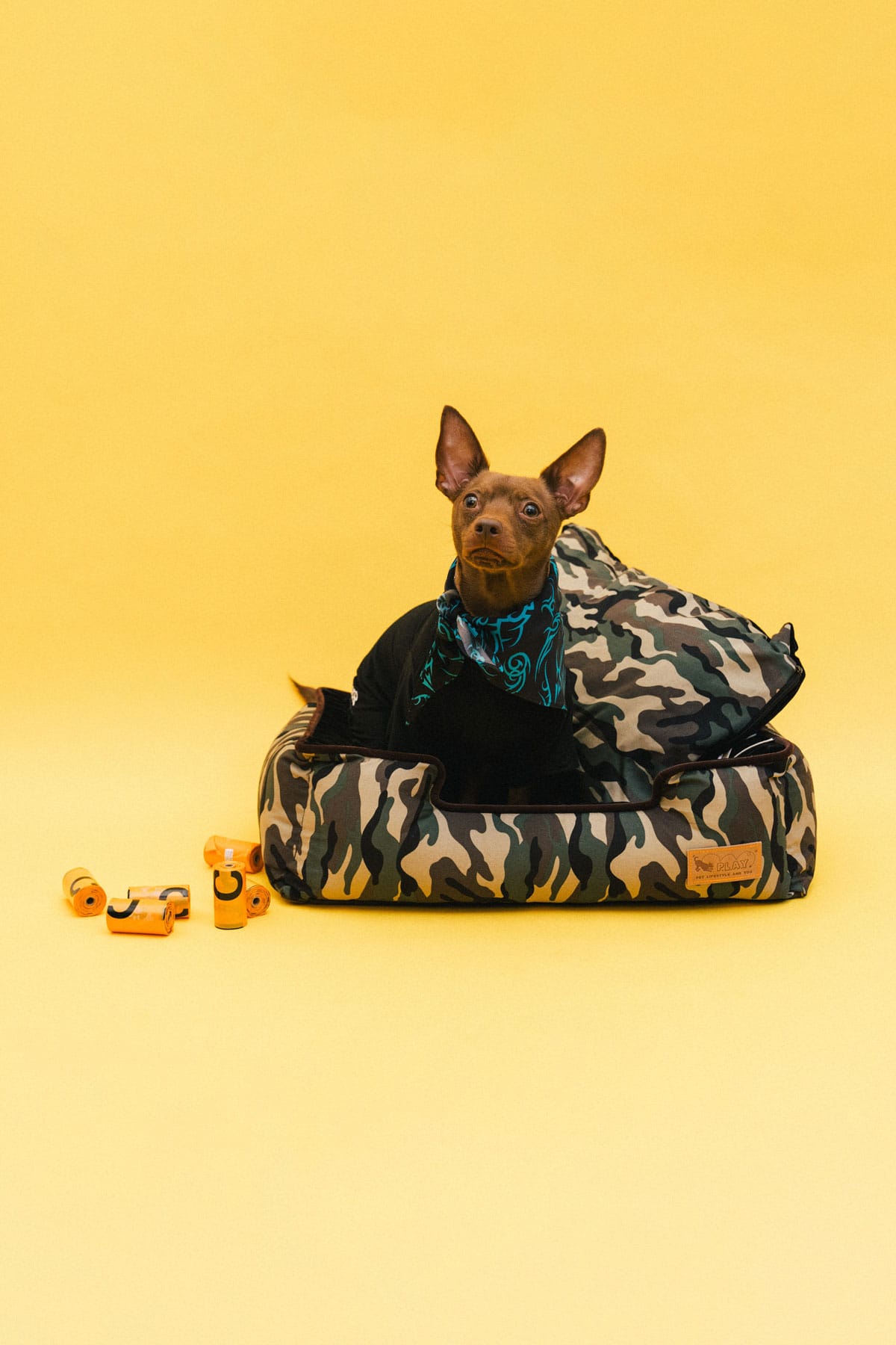 The 10 Best Dog Clothing and Accessory Brands | Hypebae