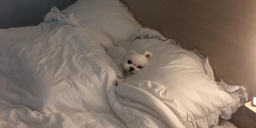 6 Best Sleep & Insomnia Apps to Download in 2020 Hypebae