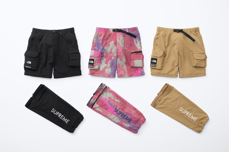 Supreme north 2024 face shorts