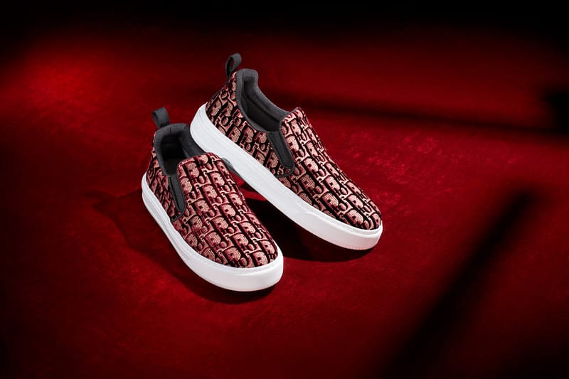 Dior slip on 2025 sneakers