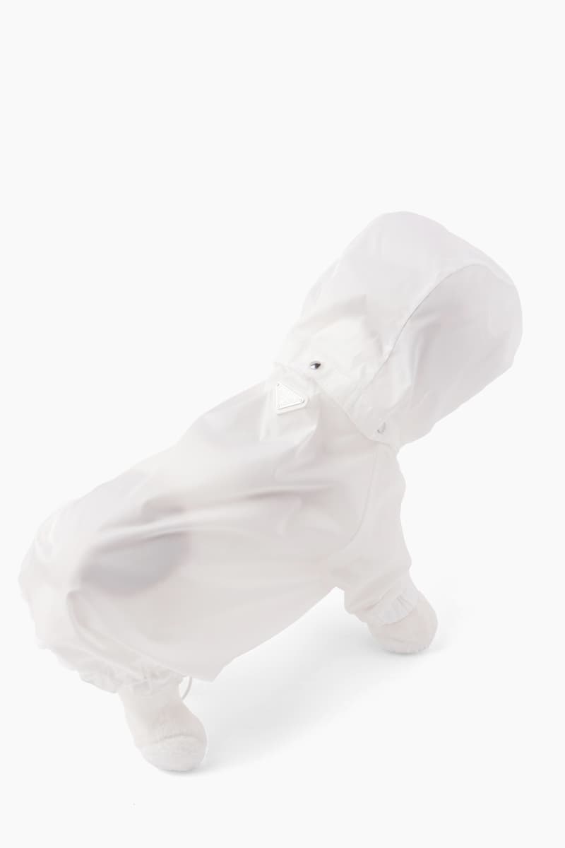 Prada Logo Dog Coats & Jackets Holiday 2020 HYPEBAE