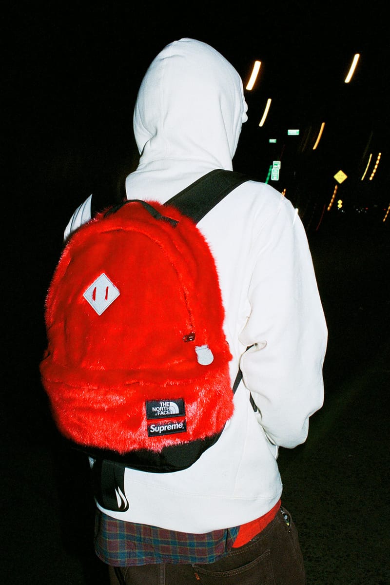 Supreme north face discount bag