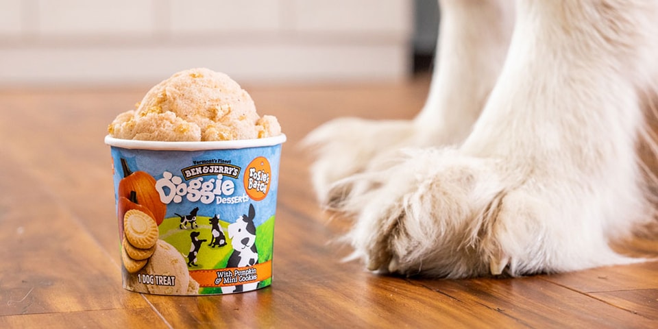 Ben & Jerry's Doggie Desserts Ice Cream Release | Hypebae