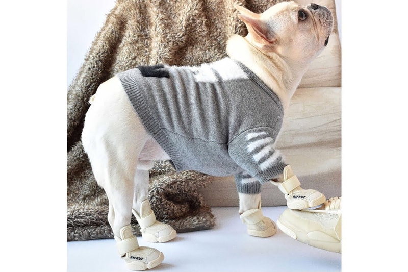 RIFRUF Drops Caesar 1 Sneakers for Dogs & Pets Hypebae