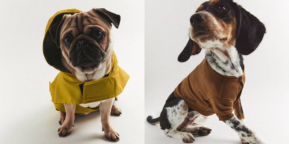 Zara Launches Pet Toys, Clothes, Accessories Hypebae