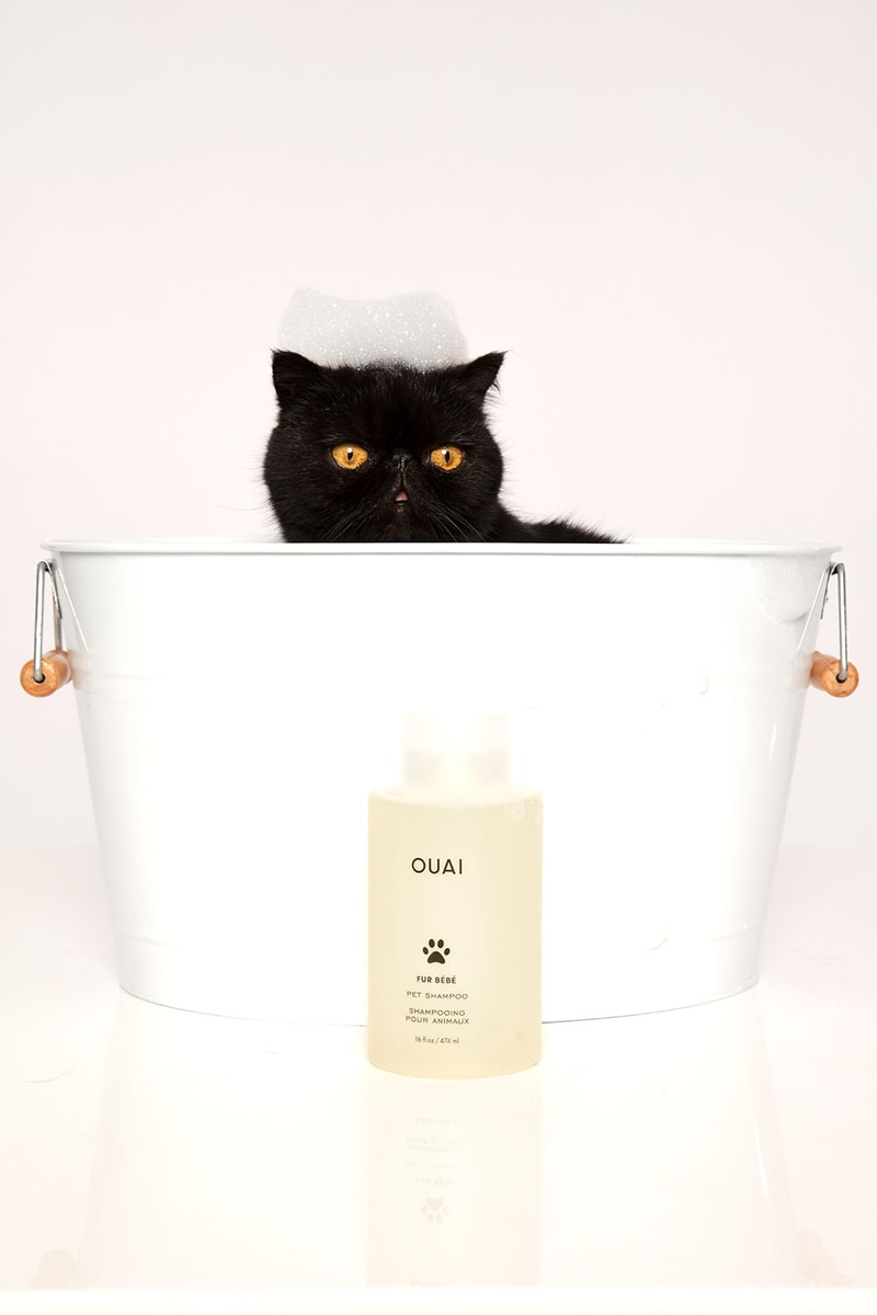 OUAI Fur Bébé Dog and Cat Shampoo Release Hypebae