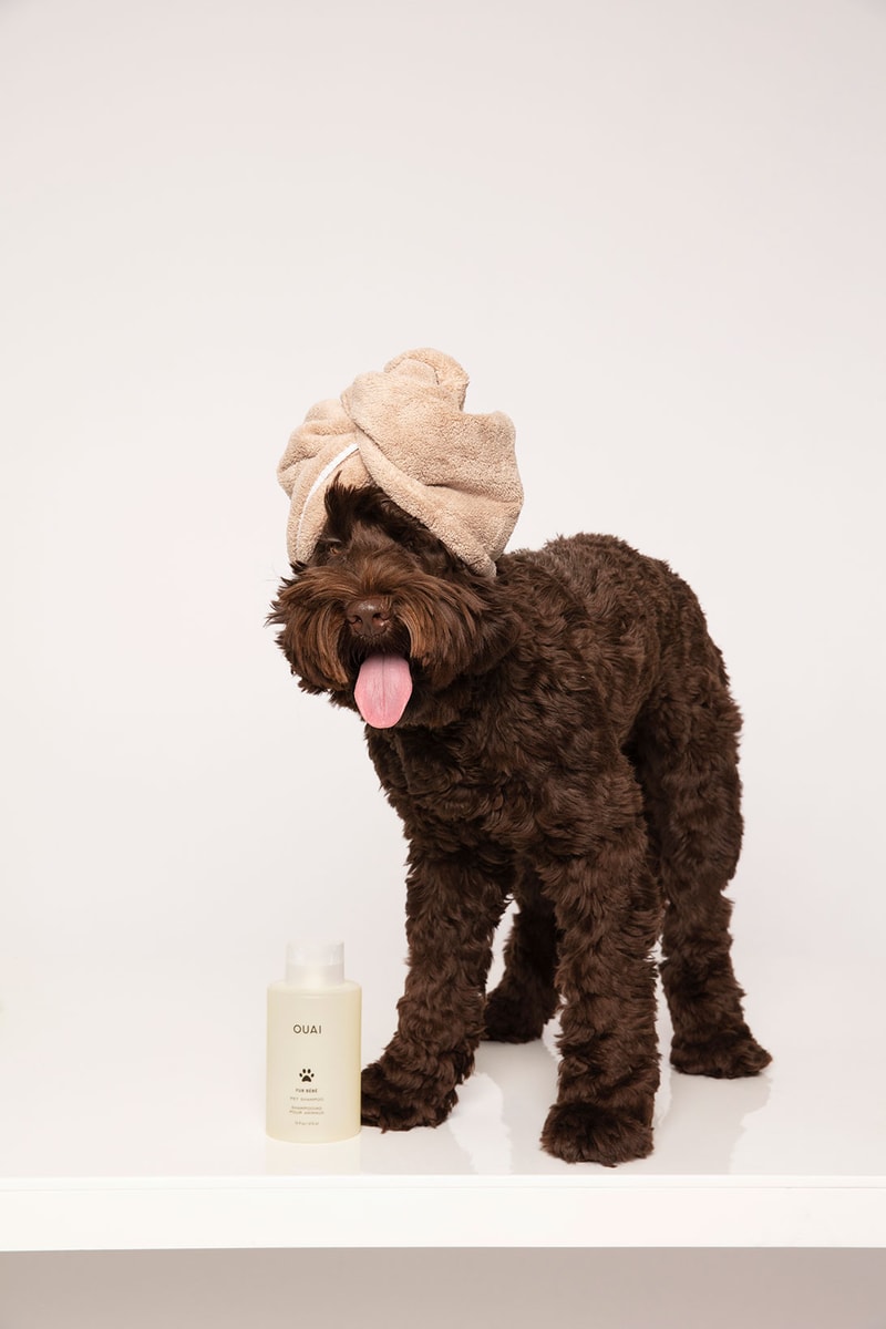 OUAI Fur Bébé Dog and Cat Shampoo Release Hypebae