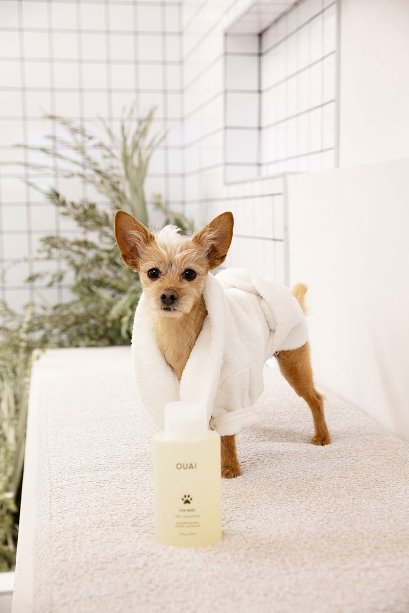 OUAI Fur Bébé Dog and Cat Shampoo Release Hypebae