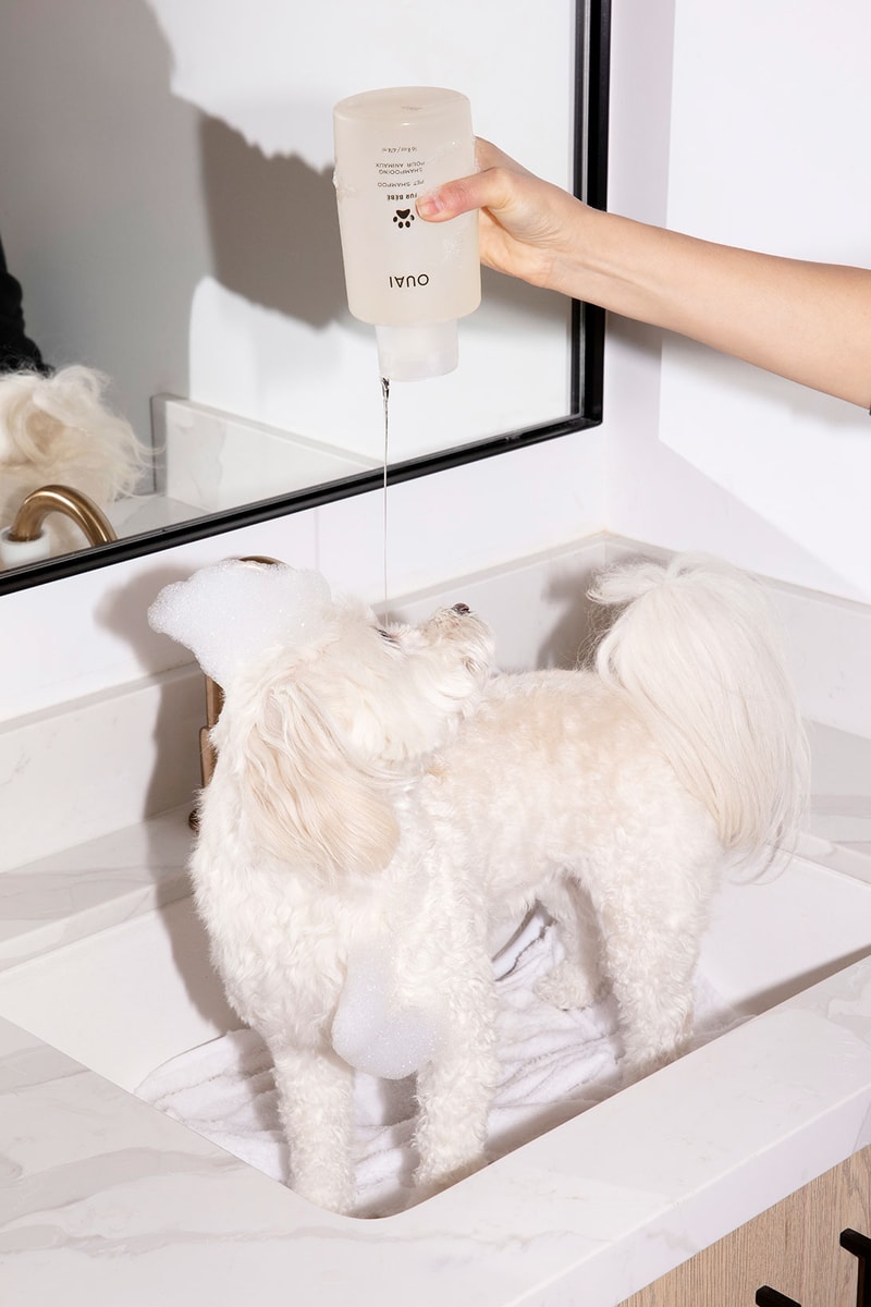 OUAI Fur Bébé Dog and Cat Shampoo Release Hypebae