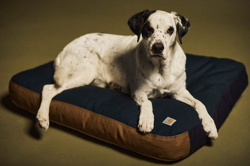 Carhartt dog shop bed large