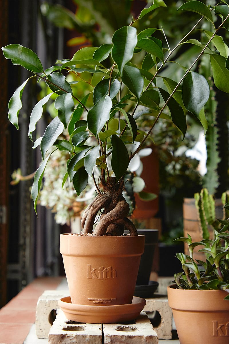 アクセサリー Kith Planter Set Grey Original Rose x KITH Planters Earth Day Collab | Hypebae