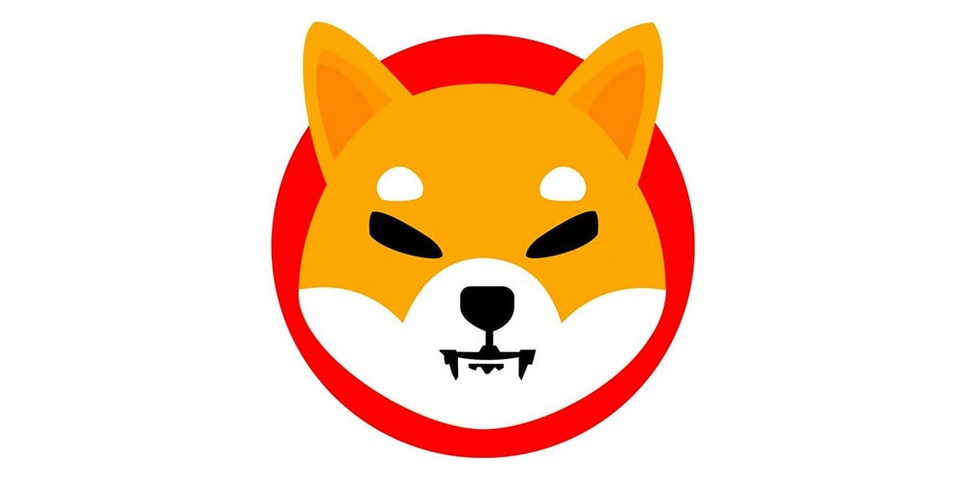 Shiba Inu Token, Self-Proclaimed "Dogecoin Killer" | HYPEBAE