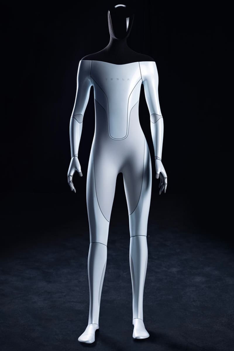 Tesla ai bot