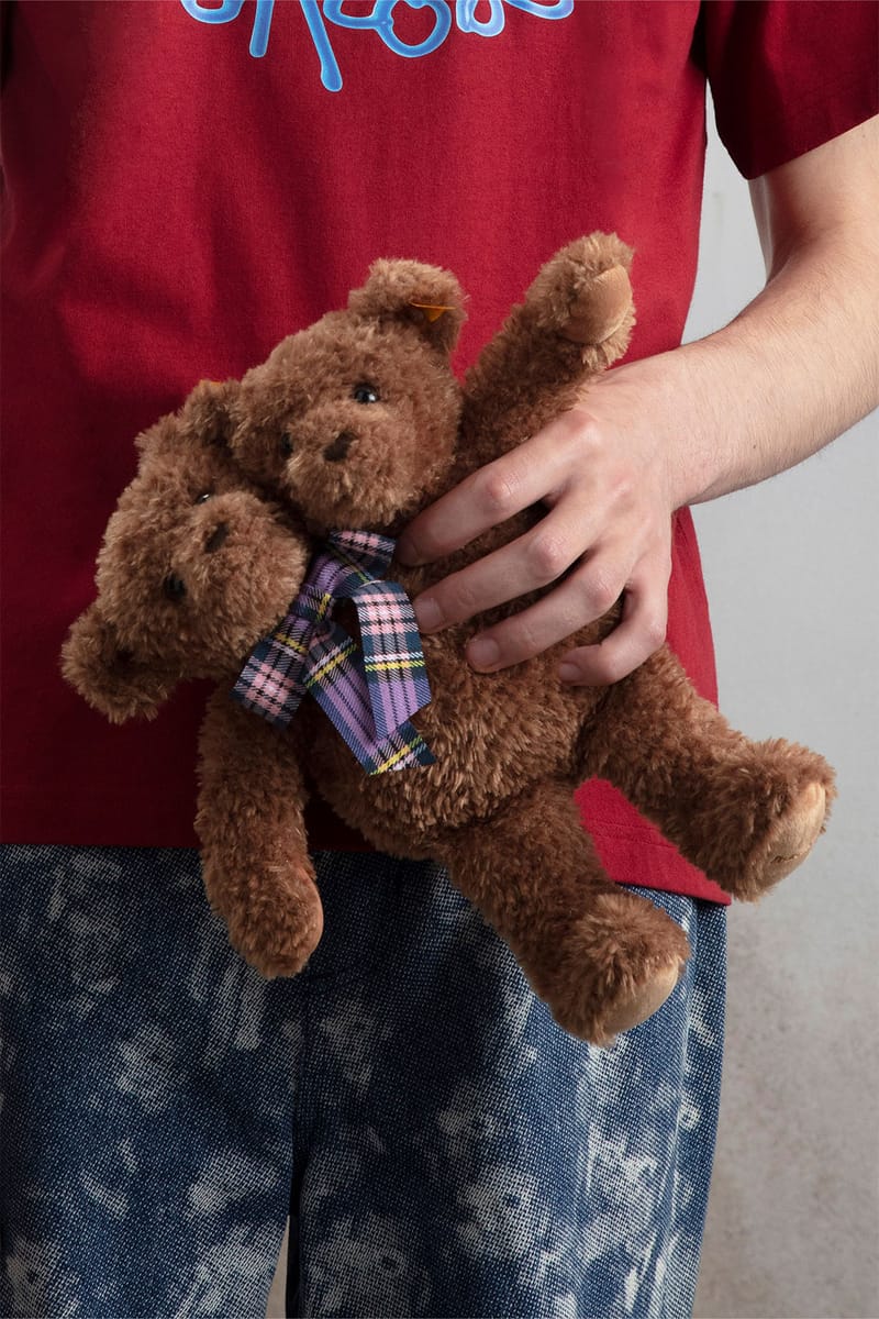 Two headed hot sale teddy bear