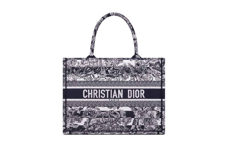 Dior SS22 Collection Handbag Line Release Info | Hypebae