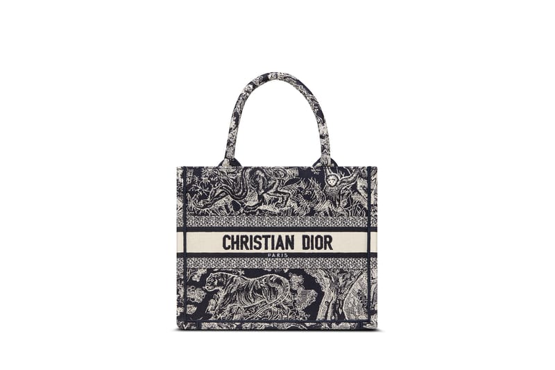 Dior SS22 Collection Handbag Line Release Info | Hypebae