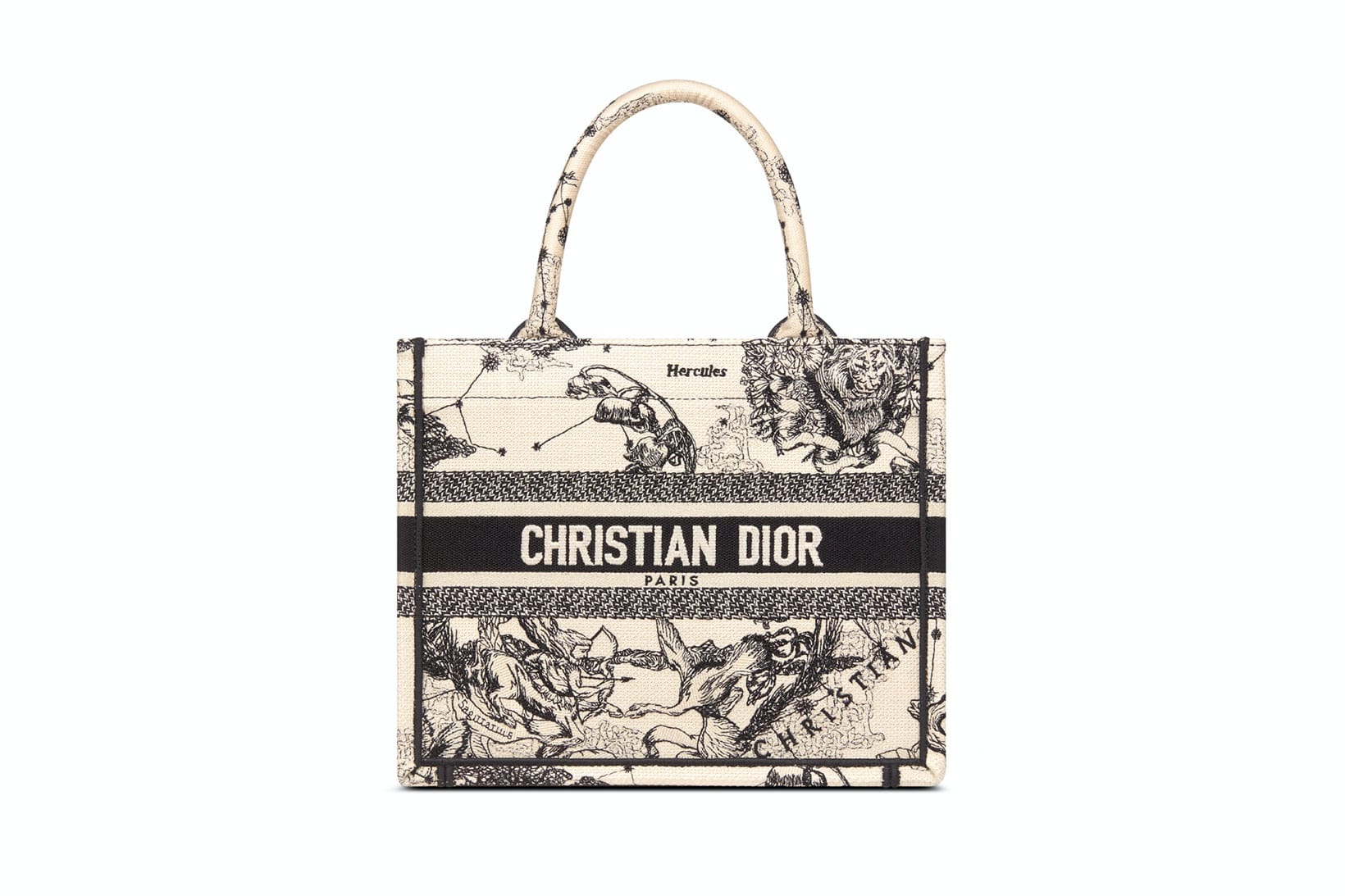 Dior Debuts Small Version of Book Tote Bag | Hypebae