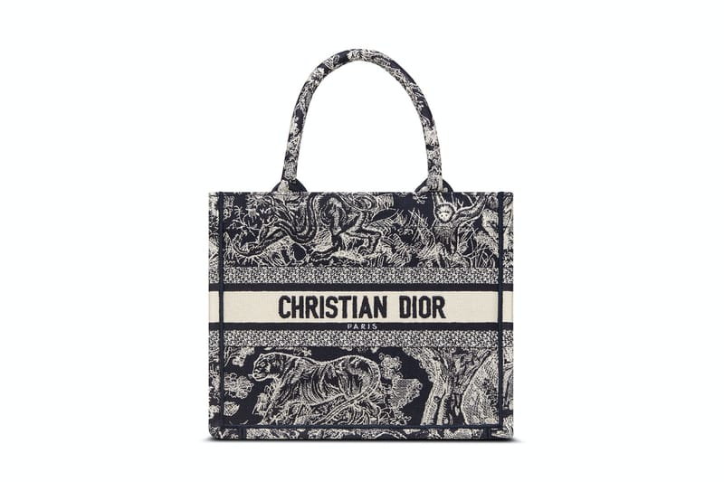 Dior book tote online small price