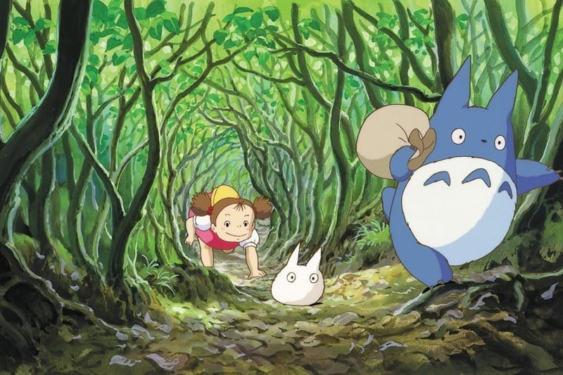 Totoro background sale