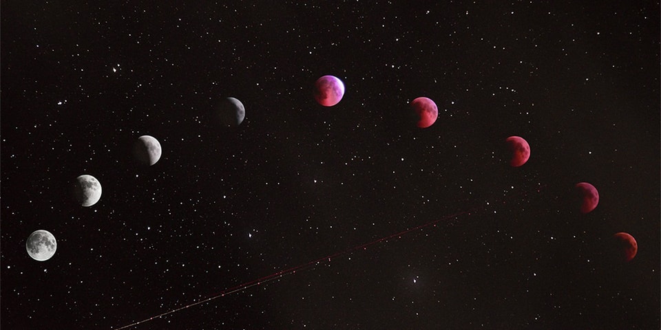 July 2022 Monthly Horoscope: It's Leo Season | Hypebae