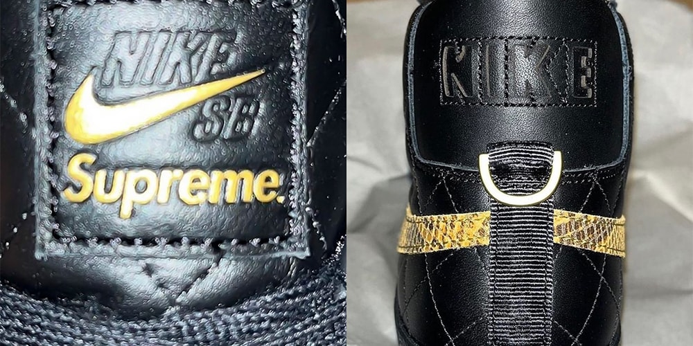 snakeskin nike sb
