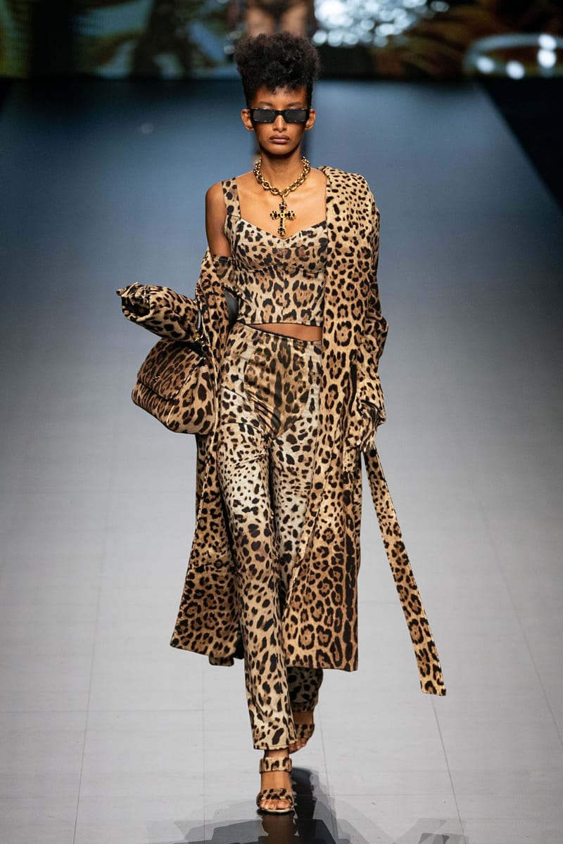 Dolce and shop gabbana animal print