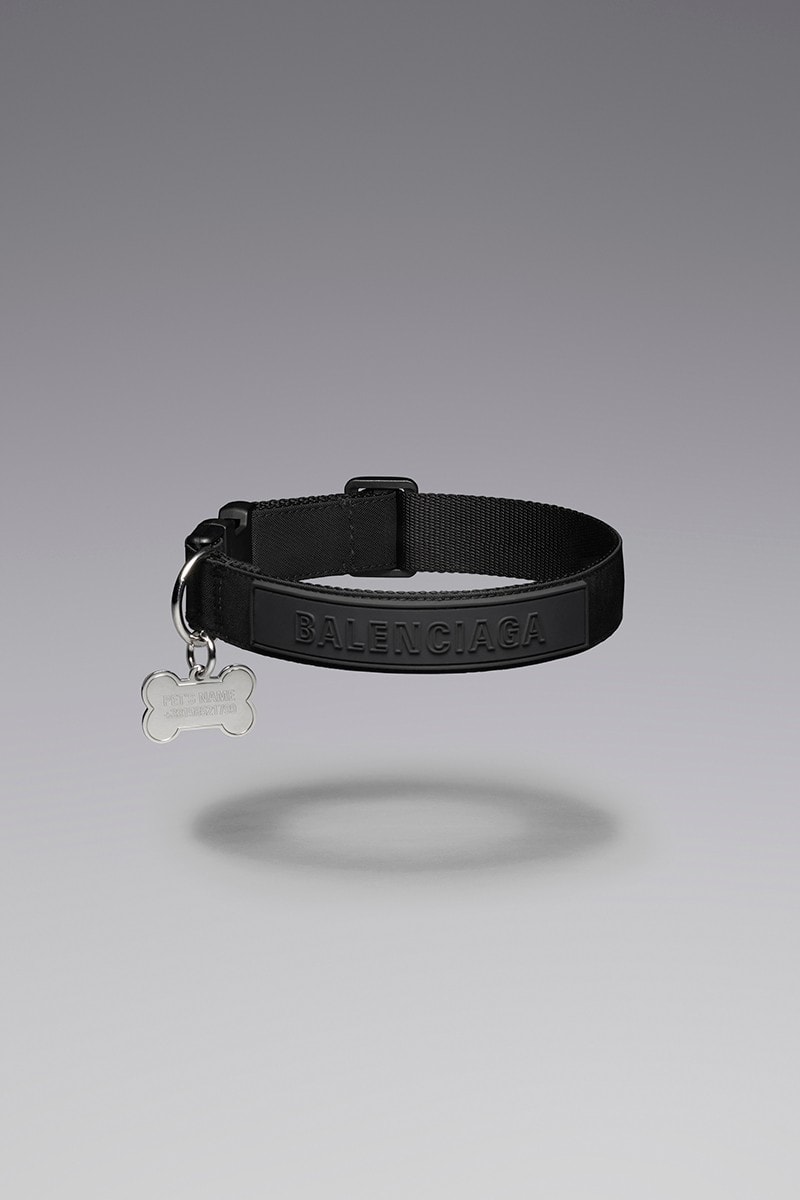 Balenciaga store dog collar