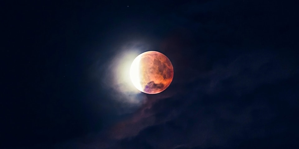 november-full-moon-eclipse-tarot-cards-horoscope-hypebae