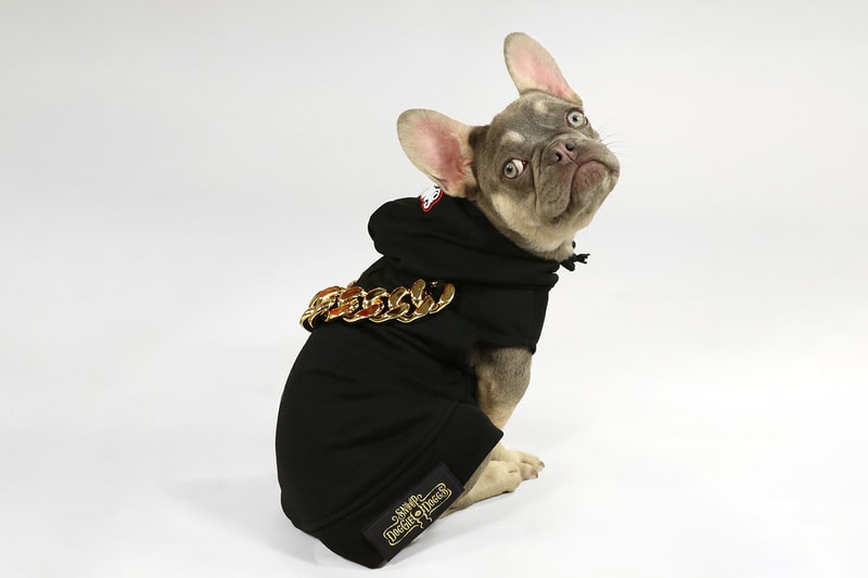 Snoop Dogg Launches Petwear Snoop Doggie Doggs Hypebae