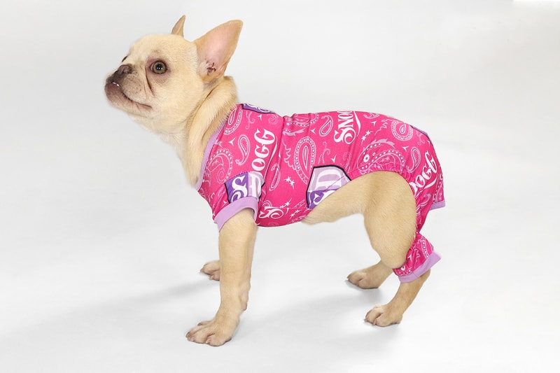 Snoop Dogg Launches Petwear Snoop Doggie Doggs Hypebae