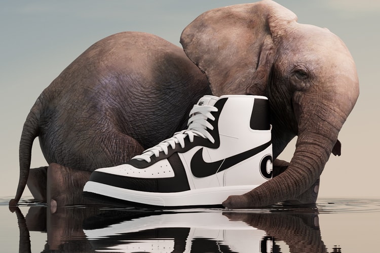 COMME des GARÃONS x Nike Platform Cortez Sneaker | Hypebae