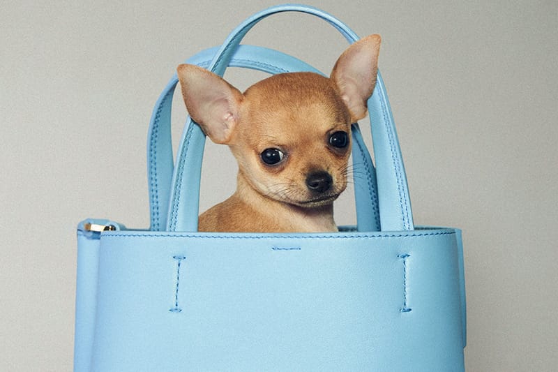 ◎BIMBA Y LOLA◎ Blue double pocket pouch B246AIV023GNF Blue MELISSA / BIMBA Y LOLA Jelly shopper bag
