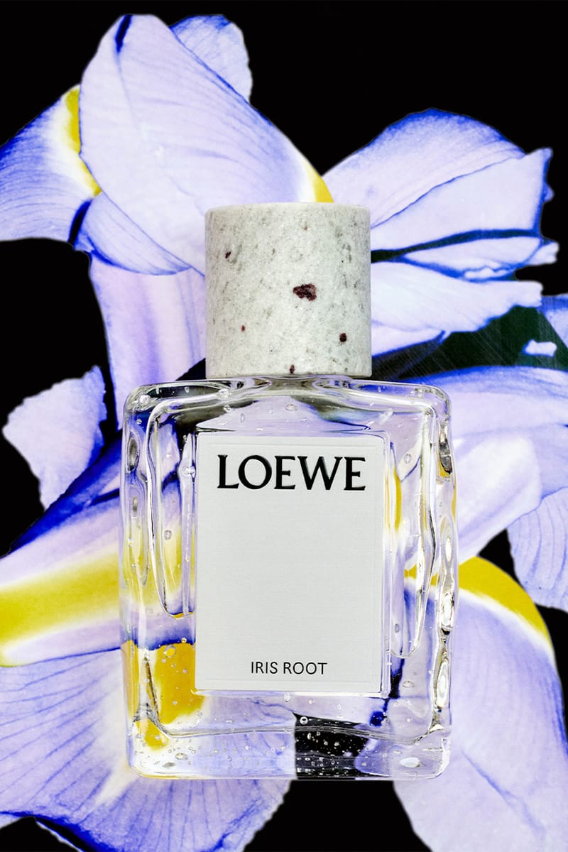 LOEWE Iris Rootロエベ　アイリス ルート 100ml 今すぐ購入 LOEWE Iris Root EDP 100ml | ロエベ パルファム