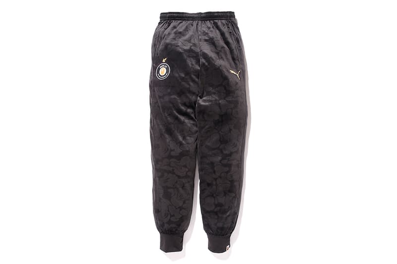 a bathing ape puma