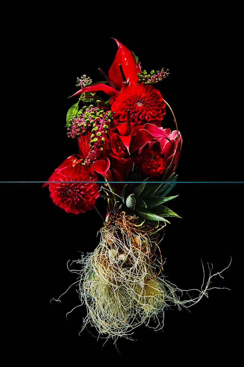 日本人フラワーアーティストの東信が手がけた植物の表裏一体性を