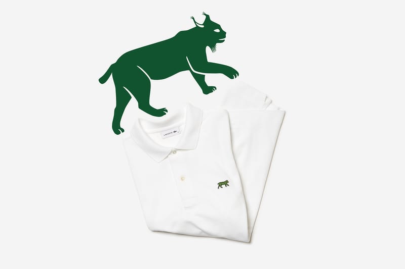 LACOSTE Save Our Species ハワイアンモンクアザラシ