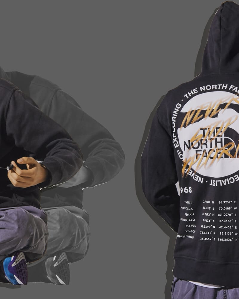 The North Face Invincible Printed Mountain Light Jacket (THE