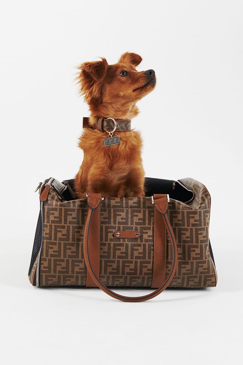 FENDI・フェンディ FFキャンバス ドッグ キーリング バッグ