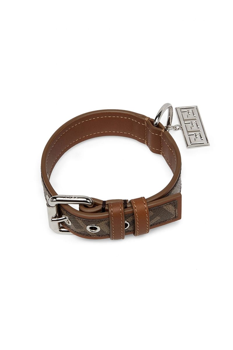 フェンディが愛犬のためのアクセサリーコレクションを発売 | Hypebae