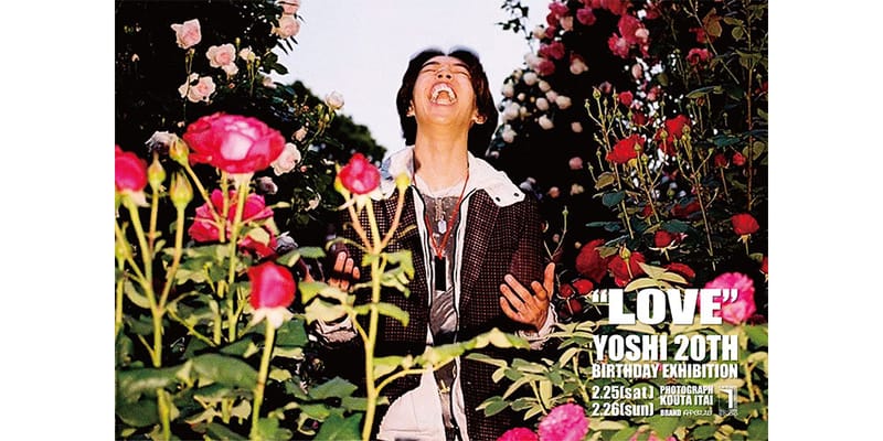 yoshiページです。 Yoshi's Cookie Nintendo GameBoy Game For Sale | DKOldies