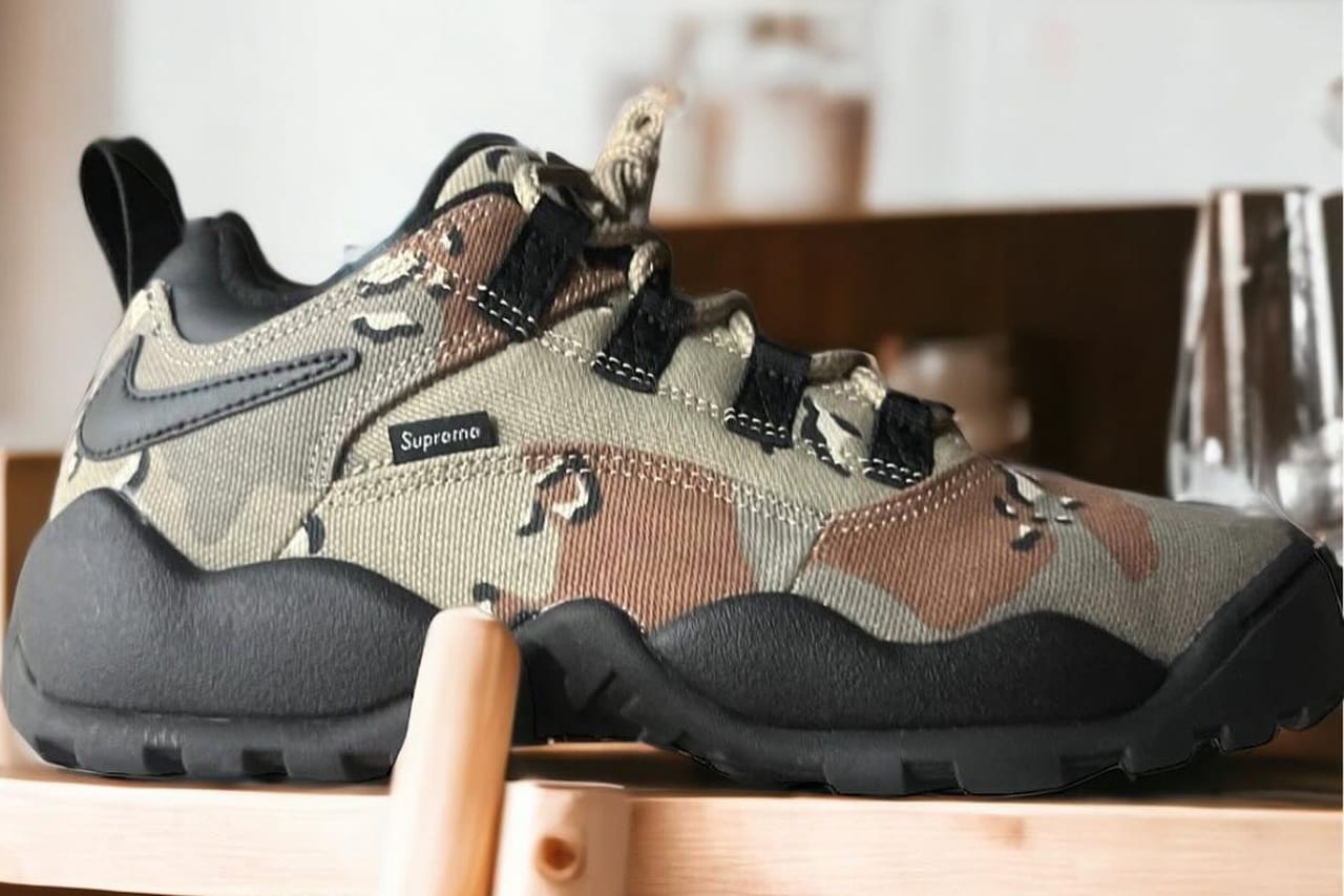 Supreme × Nike SB Darwin Low Desert Camo靴