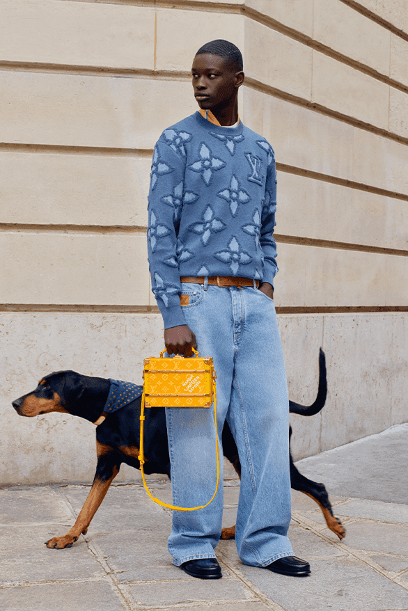 値下げ最終/Louis Vuitton / 犬 / リード 値下げ最終/Louis Vuitton / 犬 / リード