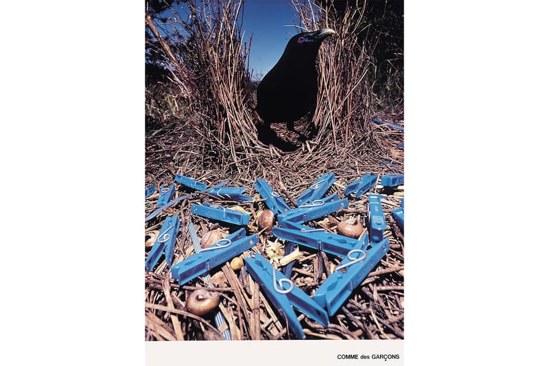 絶版 COMME des GARÇONS 写真集 井上嗣也 井上嗣也 Tsuguya Inoue Graphics+81展｜niwashihitoshi